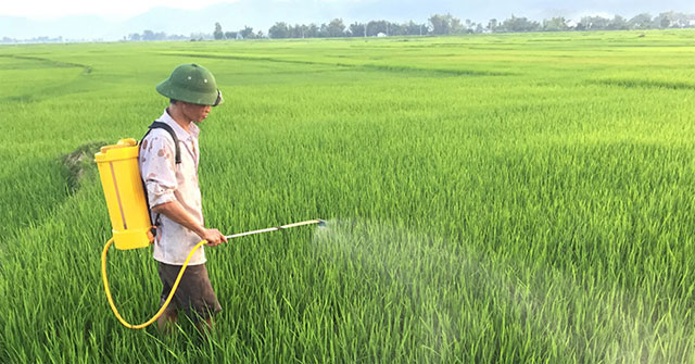 [Sharing Experience] Buy Good Pesticide Spraying Machine, Where